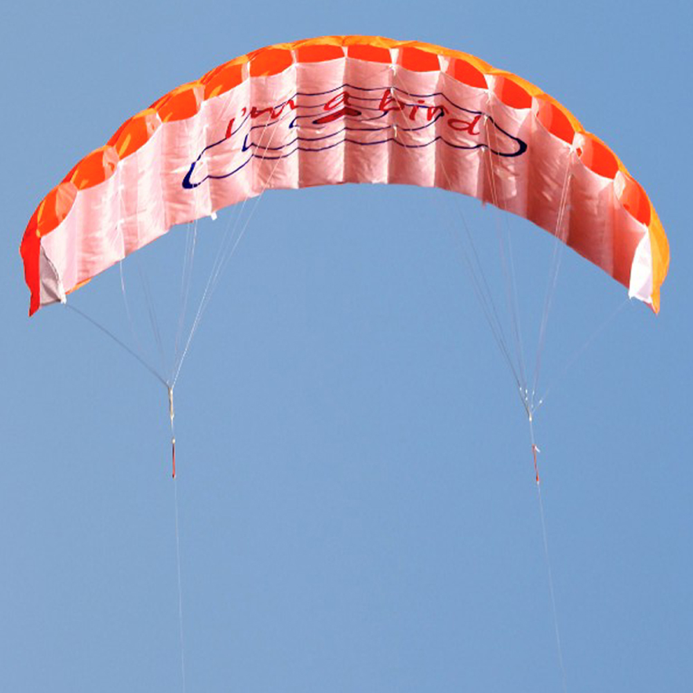 Outdoor Dual Line Stunt Parafo - Kite Surf Bar Control recensione e prezzo
